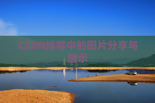 CSDN博客中的图片分享与展示